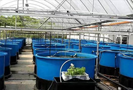 水產(chǎn)養(yǎng)殖用水源熱泵，恒溫冷暖兩用，耗電低