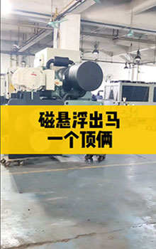 磁懸浮出馬，一個(gè)頂倆！